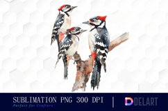 Woodpeckers Watercolor Clipart Product Image 1