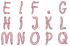 Worm Letters Font Comic Snake Wiggly Lettering ABC SVG PNG Product Image 3