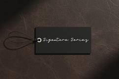 Worthy Monoline Signature Font Product Image 6