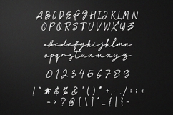 Worthy Monoline Signature Font Product Image 9