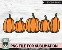 Pumpkins Sublimation design PNG, Row of Pumpkins PNG, Fall Product Image 2