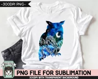 Galaxy PNG Sublimation, Owl PNG, Watercolor PNG, Bird PNG Product Image 2