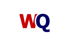WQ logo design Product Image 1