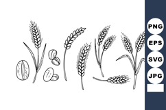 Wheat plant ears and seeds botanical line art black and whit Product Image 1