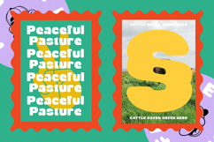 Wraps Festive - Modern Rounded Sans Serif Product Image 9