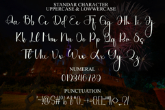 Writing Nightday Product Image 7