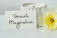 Writing Style Product Image 4