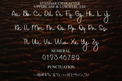 Writing Style Product Image 7