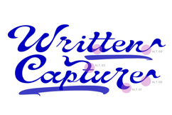 Written Capture Expressive Display Script Typeface Product Image 2