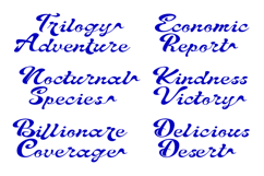 Written Capture Expressive Display Script Typeface Product Image 5