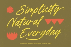 Wroteful Authentic - Aesthetic Handwritten Script Product Image 11