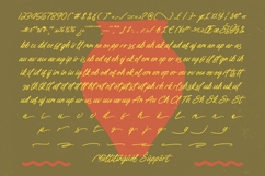 Wroteful Authentic - Aesthetic Handwritten Script Product Image 19