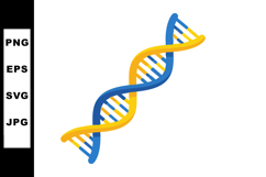 DNA double helix structure blue and yellow strands vector il Product Image 1