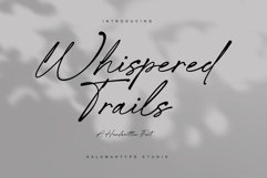 Whispered Trails - Modern Signature Font Product Image 1