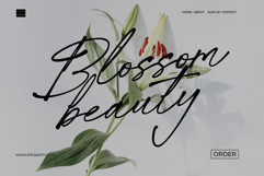 Whispered Trails - Modern Signature Font Product Image 6