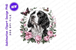 Springer Spaniel Portrait Surrounded By Pink Peonies Clipart Product Image 1