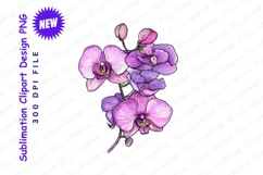 Elegant Purple Orchid Flower Illustration Detailed Clipart Product Image 1