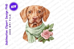 Elegant vizsla dog with scarf and roses Clipart Png Illustra Product Image 1