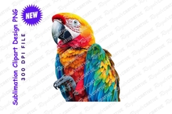 Colorful macaw parrot bird clipart png Product Image 1