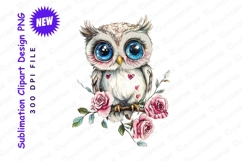 Adorable owl with roses clipart png Product Image 1