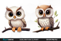 Watercolor cartoon owl Exquisite Clipart Product Image 1