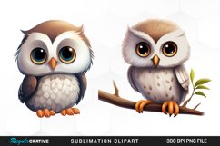 Watercolor cartoon owl Clipart Fun Product Image 1