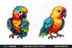 Watercolor Baby Parrot Exquisite Clipart Product Image 1