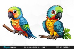 Watercolor Baby Parrot Set Clipart Product Image 1