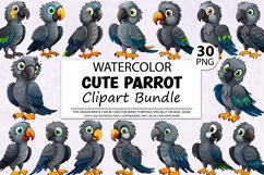 Parrot Clipart,Watercolor Birds,Tropical Clipart,Crafting Graphics,Exotic Bird Art,Scrapbooking Art,Bird Image,Pet Illustration,