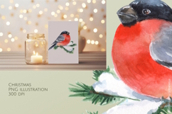 Watercolor Bullfinch Christmas PNG Product Image 1