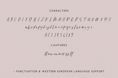 Wyldebrook Script Product Image 10