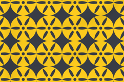 Fan Bloom Pattern Product Image 3