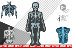 X-Ray Scan Clipart Product Image 1
