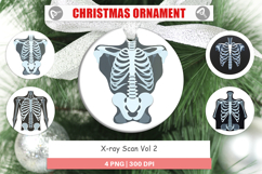 Ornament X-Ray Scan Product Image 1