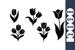 Tulip Flowers Silhouettes Vector Set with Leaves and Stems f Product Image 1