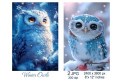 Cute Owl in Winter Snow Christmas card, Bird on snowy branch Product Image 1