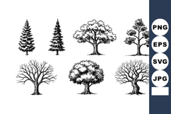 Various tree silhouettes vector set with pine and deciduous Product Image 1