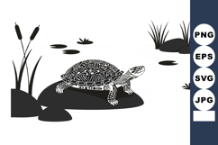 Turtle resting on rock near pond with aquatic plants vector Product Image 1