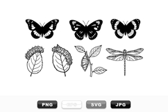 Detailed Butterfly Life Cycle Vector Clipart Bundle Product Image 1