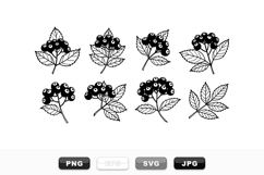 Vintage Hand Drawn Blueberry Botanical Clipart Set Product Image 1