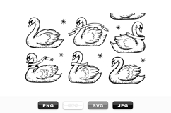 Hand Drawn Swan Vector Clipart Bundle for Crafts Product Image 1