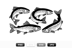 Hand Drawn Trout Vector Pack For Fishing Designs Product Image 1