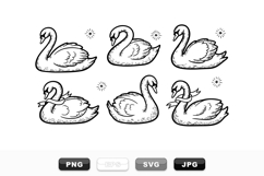 Hand Drawn Swan Vector Clipart Set for Crafts Product Image 1