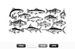 Hand Drawn Fish Vector Clipart Bundle for Crafts Product Image 1