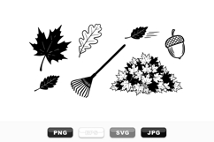 Hand Drawn Autumn Leaf Clipart Bundle for Fall Product Image 1