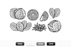 Hand Drawn Cabbage Vegetable Vector Clipart Set Product Image 1