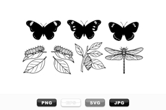Vintage Butterfly Life Cycle Vector Clipart Set for Crafts Product Image 1