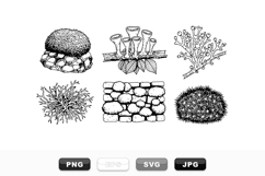 Hand Drawn Lichen And Moss Botanical Clipart Bundle Product Image 1