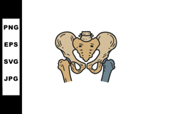 Human pelvic bone anatomy illustration with femur bones deta Product Image 1