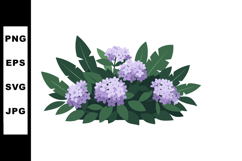 Purple Hydrangea Flowers with Green Leaves Vector Illustrati Product Image 1